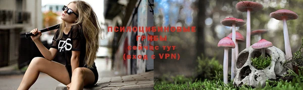 соль курить ск Бугульма