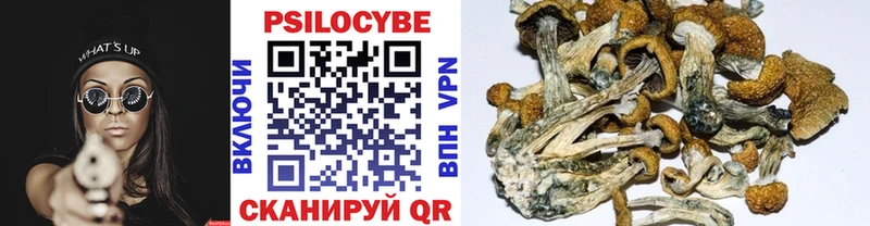 Псилоцибиновые грибы Psilocybine cubensis  Купить закладки  Макарьев 